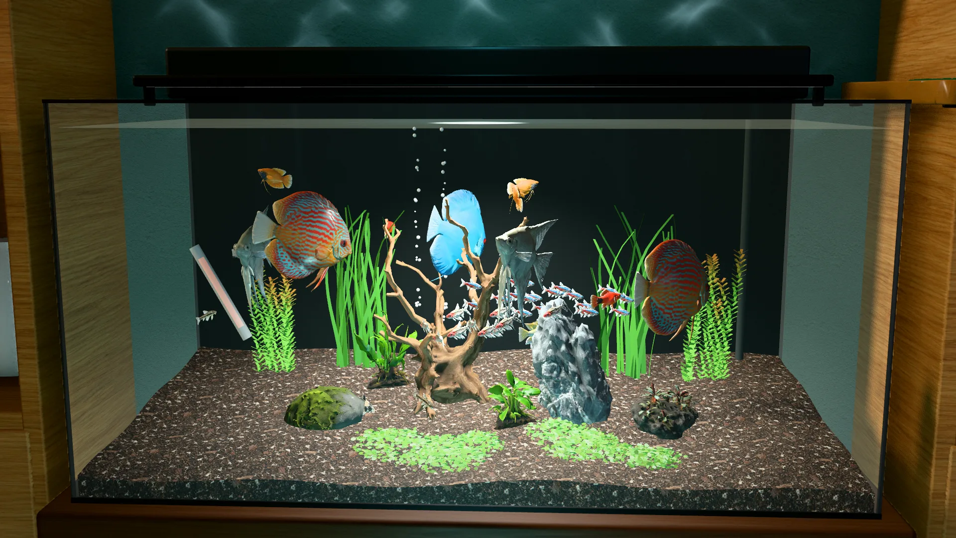A planted tank with driftwood