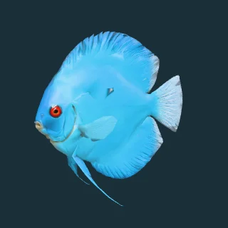 Blue Diamond Discus (in-game 3D model)