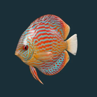 Discus (in-game 3D model)