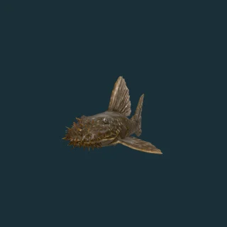 Bristlenose Pleco (in-game 3D model)