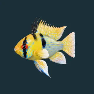 German Blue Ram (in-game 3D model)