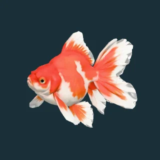 Ryukin Goldfish (in-game 3D model)