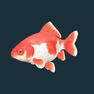 Wakin goldfish (in-game 3D model)